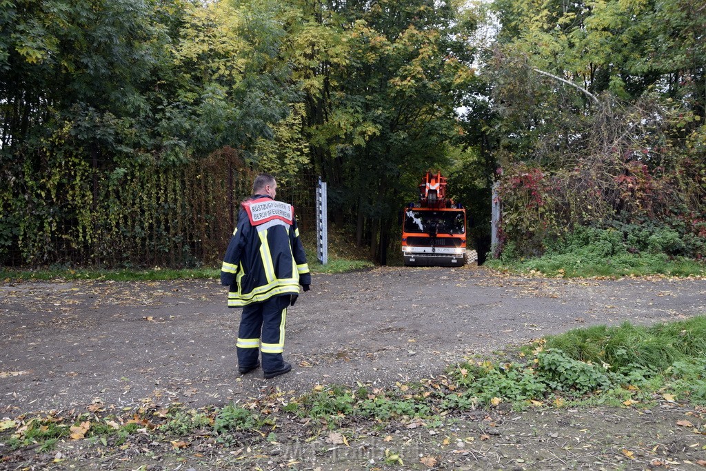 Einsatz BF Koeln PKW im See Koeln Esch P242.JPG - Miklos Laubert